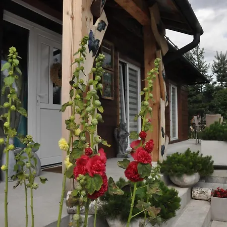 Siedlisko Pod Aniolem 公寓